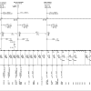 wM4UjNx4lX5V2aiRnXeN1YyVWZuNHavR3XyAjM10SMx0CM38VM1UzM1ETLx0SM3YjM1EDO0IDM.png